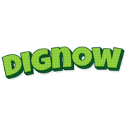 (c) Dignow.org